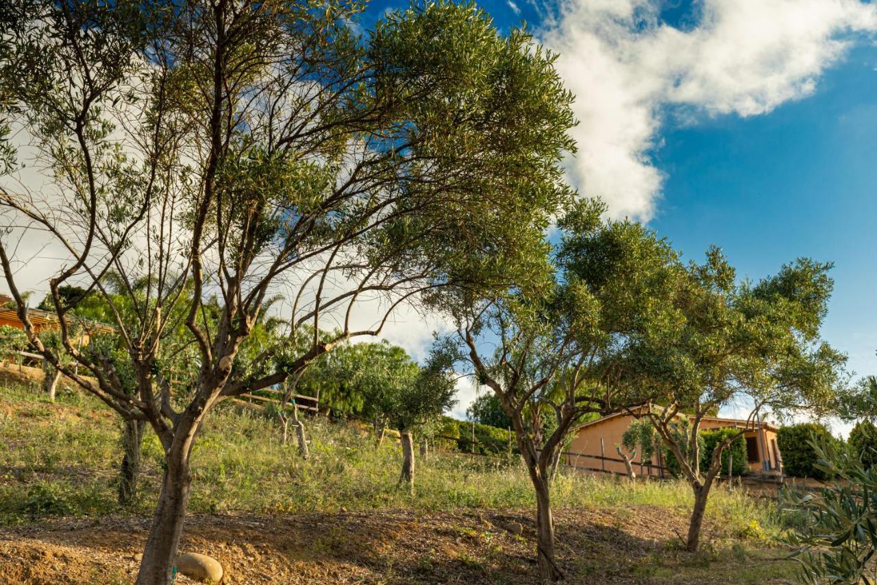 Solemar Sicilia - Le Casette Di Calzata Campofelice Di Roccella Exterior foto