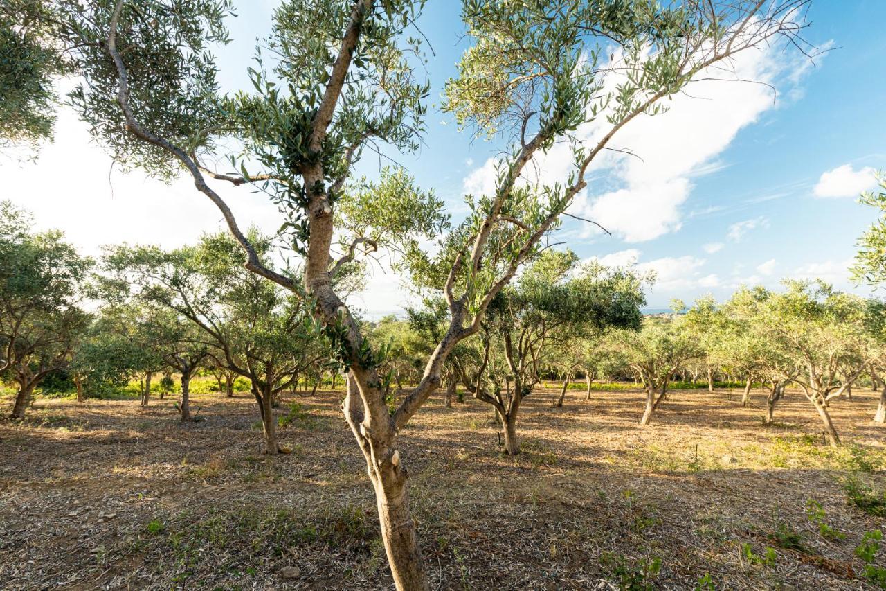 Solemar Sicilia - Le Casette Di Calzata Campofelice Di Roccella Exterior foto